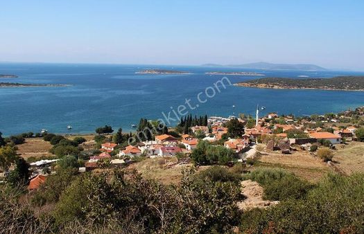 Alaçatı Gayrimenkulden Çeşme Germiyan'da 27 Dönüm Satılık Arsa