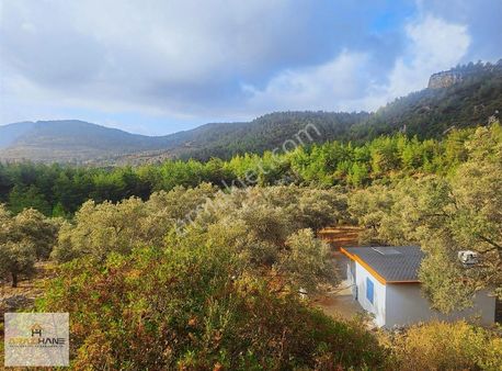 Kalemde 13,5 Dönüm Bağ Evi Ve 1 Ton Yağ Veren Arazimiz Satışta !