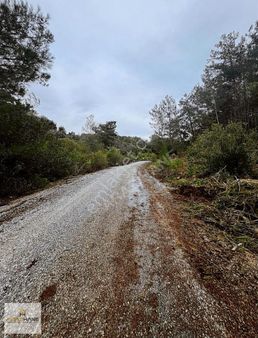 Milas Kayaderesi Asvalta Sıfır Sukuyulu Doğa İçinde Satılık Bahç