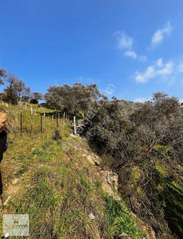 Muğla Milas Kayabaşı Mah 1 Dönüm Satılık Hobi Bahçesi