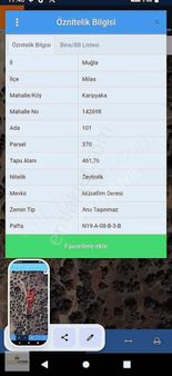 Muhteşem Fırsat Zeytinlik!!!