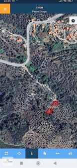 Arazihane Den Kayabaşı Köyünde 1240 M2 Zeytinlik