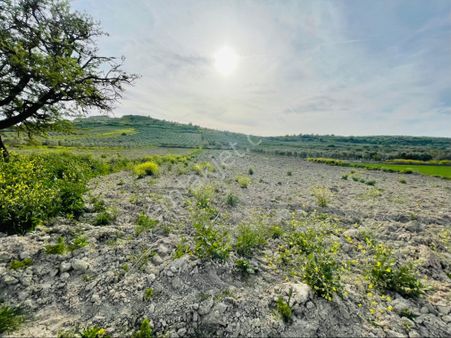 Şehsadeler Karayenice Mh Satılık 6.000m2 Yol Ve Suyu Olan Verimli Boş Tarla