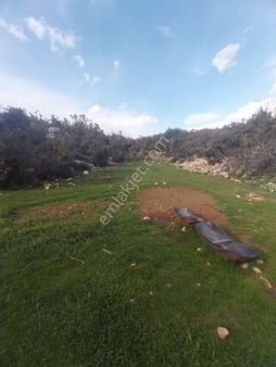 Demir Gayrimenkul Mersin Erdemli Yeniyurt Satılık Boş Tarla