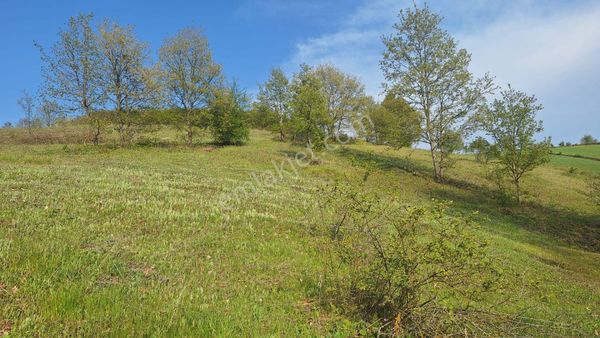 Tek İşim Gayrimenkul'den | İnegöl Tekkeköyde Satılık 1.638 M²