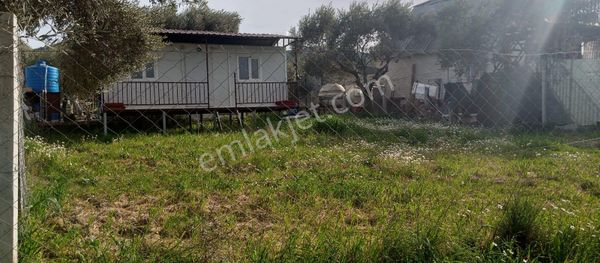 İzmir Torbalıda Prefabrik Yapılı Zeytin Ağaçlı Yatırımlık Tarla