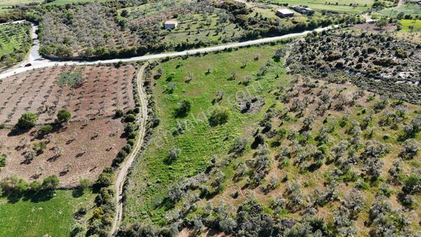 Ezine Karadağ Köyünde Satılık Tarla