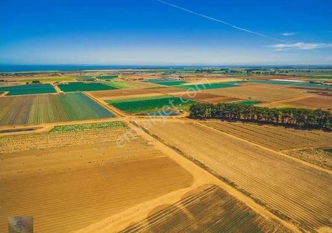 Ünsal Mahallesinde İmara Yakın 440 M2 Tarla(880 M2 İçinde 440 M2 Hisse)