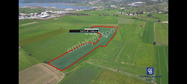 Dörttepe'de Yatırım Değeri Yüksek Satılık Tarla