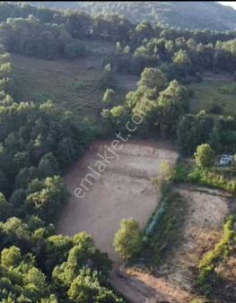Yalova Güneyköy'de Satılık Bahçe Arazi