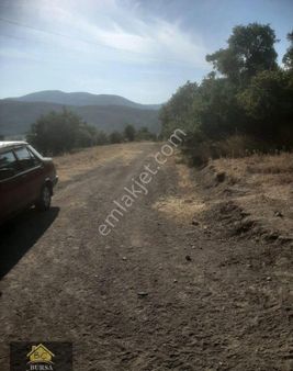 Bursa Yenişehir Burcun Köyün De 3350 M2 Yatırımlık Arazi