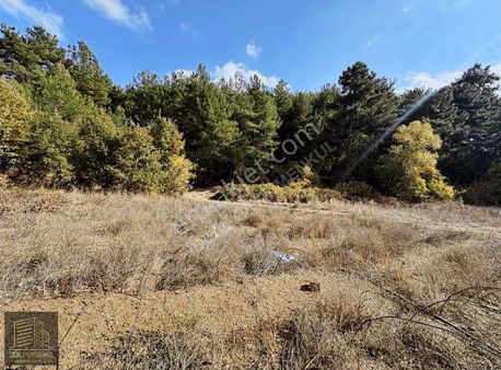 Fırsat!! Çanakkale Yenice Kazdağları Reşadiye De 2165m2 Tarla