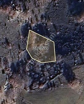 Elmağ Tatlıca Mahallesinde Satılık 823m2 Tek Tapulu Arsa