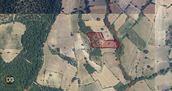 Bursa M.kemalpaşa 9 Dönüm Köye Yakın