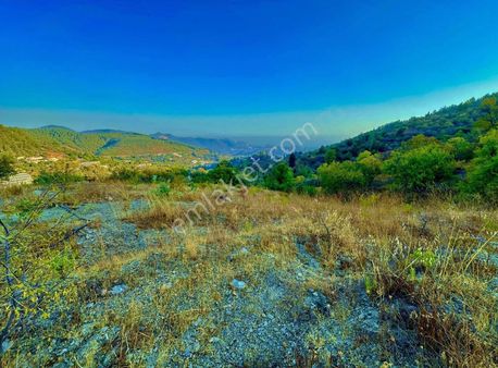 Alanya Kayabaşı 1.800 M2 Tarla