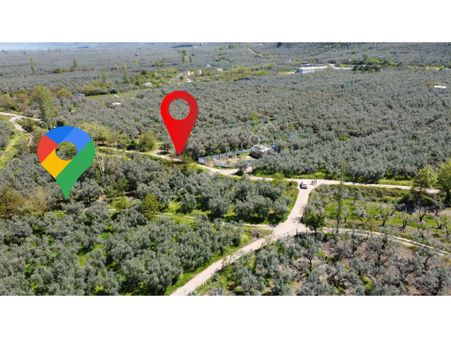 Beka Gayrimenkul Den Dutluca Köyünde 2 Tapu Zeytinlik Hobi Bahçesi