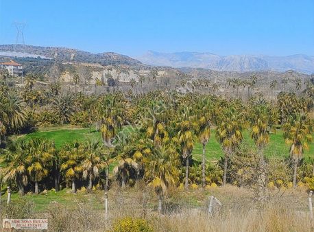 Manavgat Tek Tapu Irmağa Sıfır Eşsiz Arazi