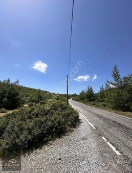 Muğla Bodrum Mazıda Satılık Yatırımlık Tarla