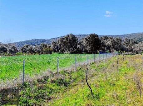 Bodrum Sazköy Satılık Tarla