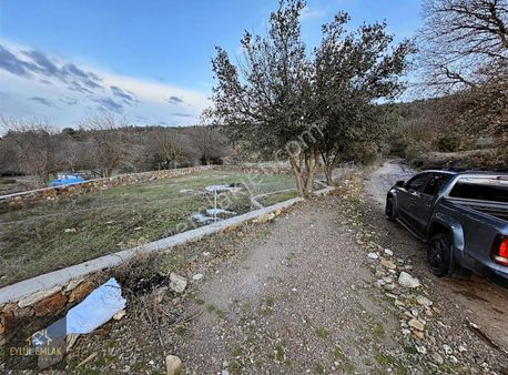 Milas Söğütcükte Yol Cepheli Fırsat Tarla