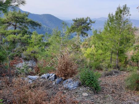 New Westten Alanya Güzelbağ'da Satılık Tarla