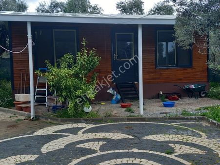 Bodrum Yoluna Yakın İçinde Evi Olan Satılık Tarla