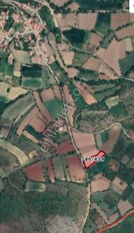 Gümüş Te Bağ Bahçe Tarla