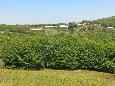 Süper Yatırımlık Köy İçi Fındıklık