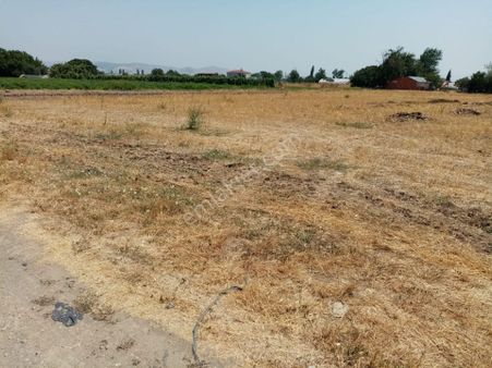 Balıkesir Altıeylül.bayat Mahallesin De Satılık Tarla.