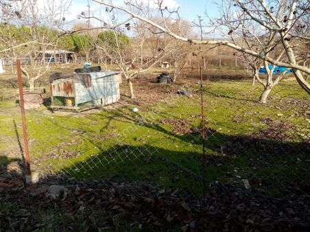 Balıkesir Altıeylül.kuşkaya Mahallesin De Satılık Tarla.