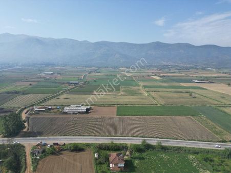 Antika Gayrimenkul'den Ödemiş Konaklı' Da Satılık Tarla