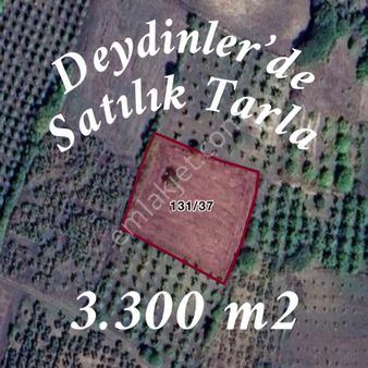 Altınbaş Emlak'tan Deydinler'de Satılık Verimli Tarla