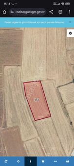 Dümdüz Sulak Verimli Arazi Piyasa Altında