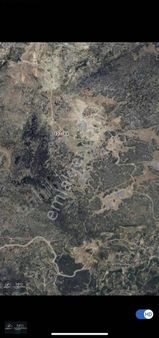 Mersin Tırtar Satılık Tarla