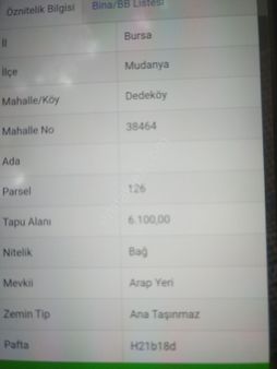 Mudanya.dedeköy De 6.100m.asfaltyola 50m Cepheli İçinde Zeytinağaçları Mevcut Olan Değerli Arazi