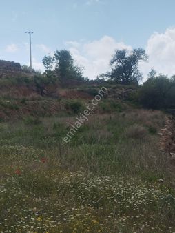 Yeni Köy Hariyat Yapılmış Yola Sıfır