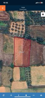 Arte Gayrimenkul’den Kuyucak’ta Satılık 2075 M2 Tarla