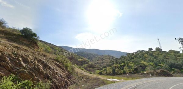 Antika Gayrimenkul'den Ödemiş Velilerde Satılık Zeytinli Tarla