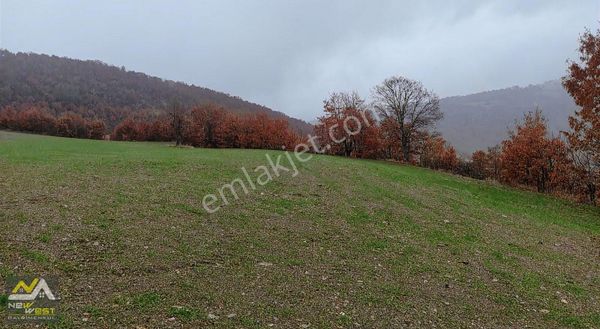 Uşak Paşacıoğlu Karaçayır Mh.de Tek Tapulu Ekilen 6670m2 Tarla