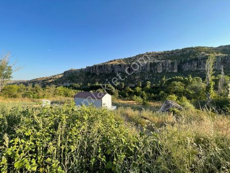 Meram Botsa' Da 1.424 M2 Müstakil Tapulu Satılık Bahçe