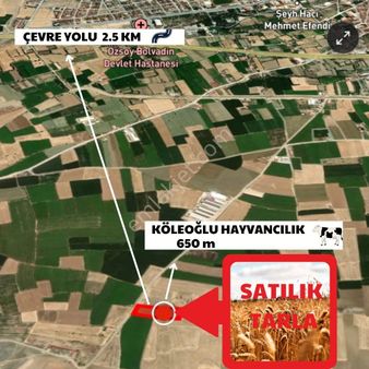 Yaman'dan Bolvadin Saraykırın'da Yola Cepheli Satılık Tarla
