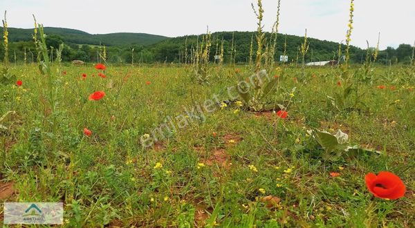 Gebze Cuma Köy 2700 M2 Tarımda Yatırımlık Hisse Konum Süper