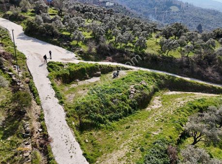 Yönter Emlaktan Kaplan'da 930 M² Arsa