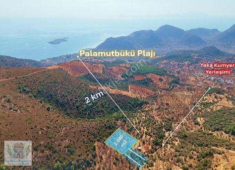 Marinden Palamutbükü Yakını 2.046m2 Resmi Yolu Olan Arazi