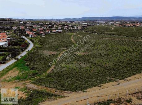 Seferihisar Ulamışta Satılık 15/30 İmarlı Arsa