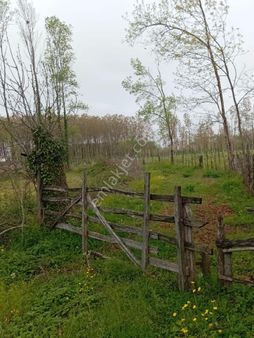Samsun Terme Sarayköy De Yolu Olan Satılık Fındık Ve Kavaklık