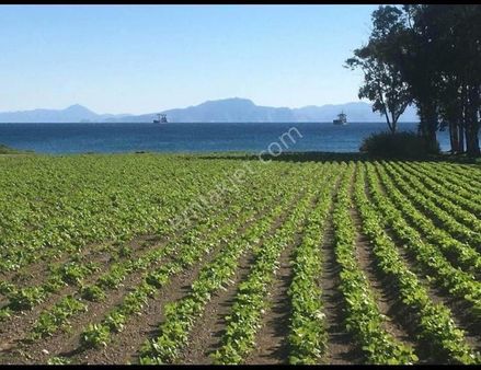 Riva Gymdn Muğla Datca Kızlan Turizm Ve Tatil Köyü İmarlı