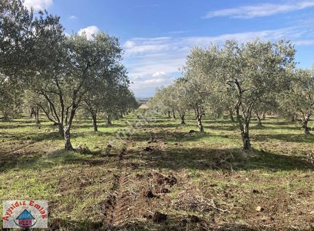 Karabörklü Mah Ne 500 Metre Yazlık Bahçe