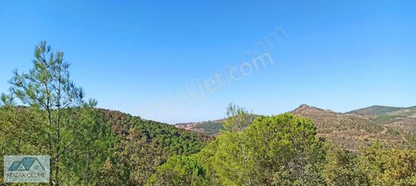 Balıkesir Ayvalık Kozak Yaylası 21 Dönüm Müstakil Tapu Çamlık