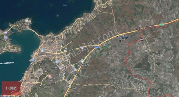 Ayvalık Murateli Yerleşime Yakın Tarihi 8145m2 Zeytinlik